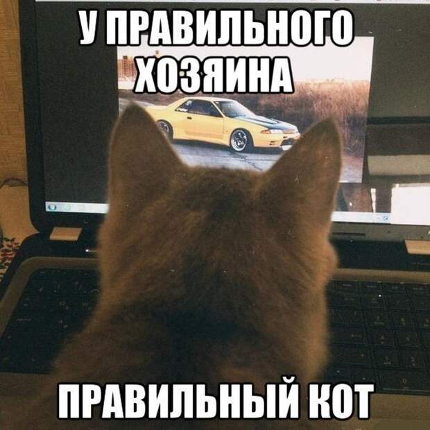 Подборка автоприколов. Часть 160 авто, автоприколы, приколы