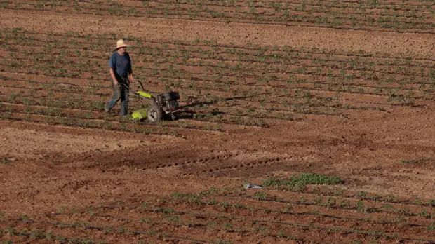 Россия и Греция продолжат развивать сотрудничество в области сельского хозяйства