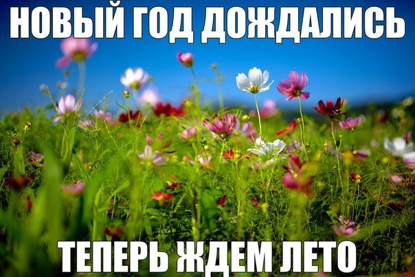 30GjtpMdtgE
