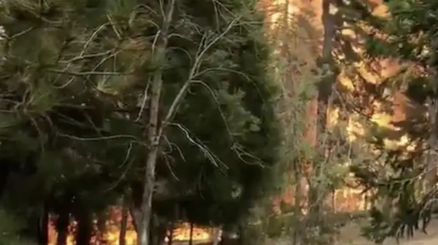 Около 30 человек погибли в результате природных пожаров в США