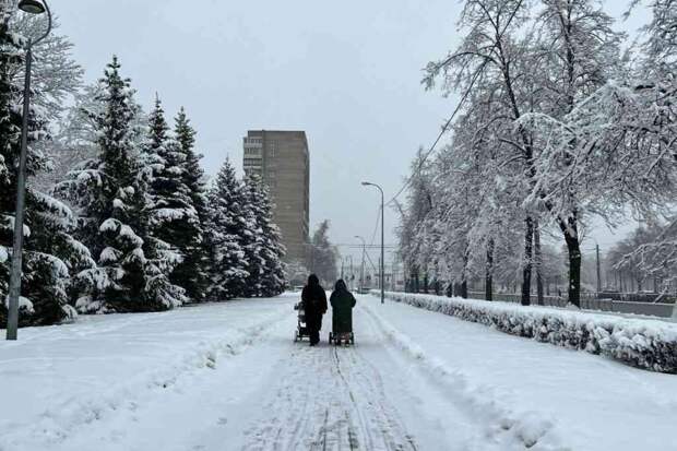 Снежный армагеддон в Москве: побит рекорд полувековой давности