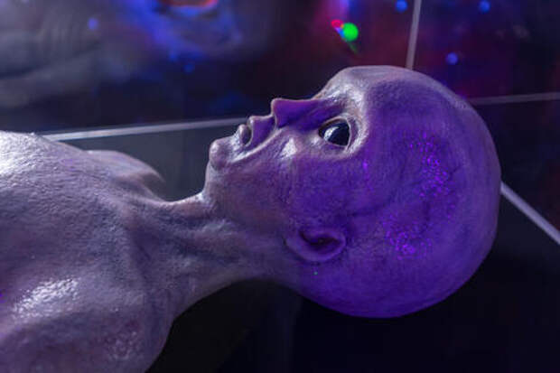 Следы инопланетян, загадочные круги на полях: в Краснодарском крае есть аномальная зона