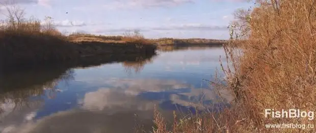 Щучий водоем