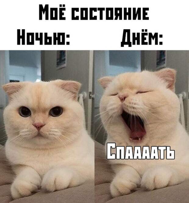 www.vsyako.net