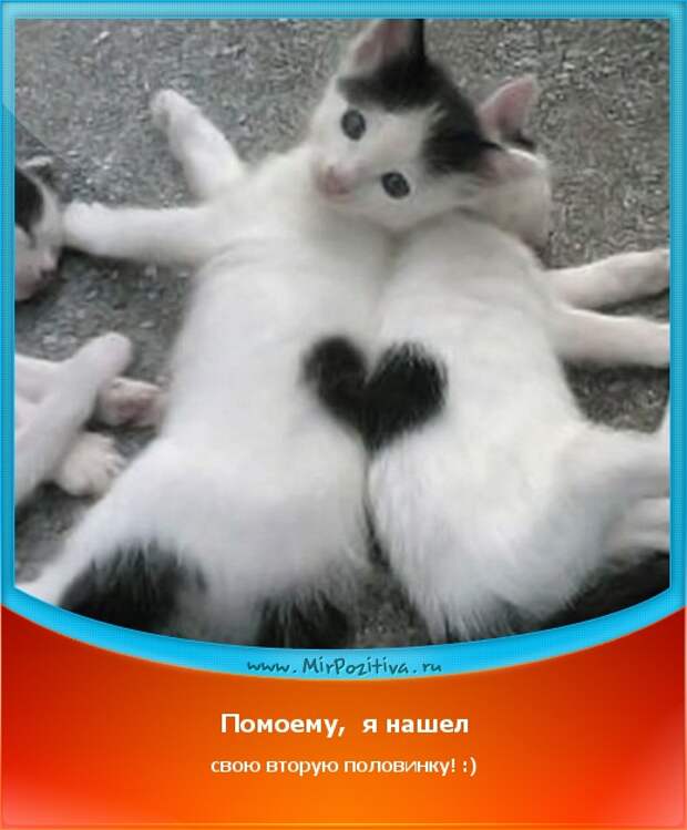 image016 (520x629, 179Kb)