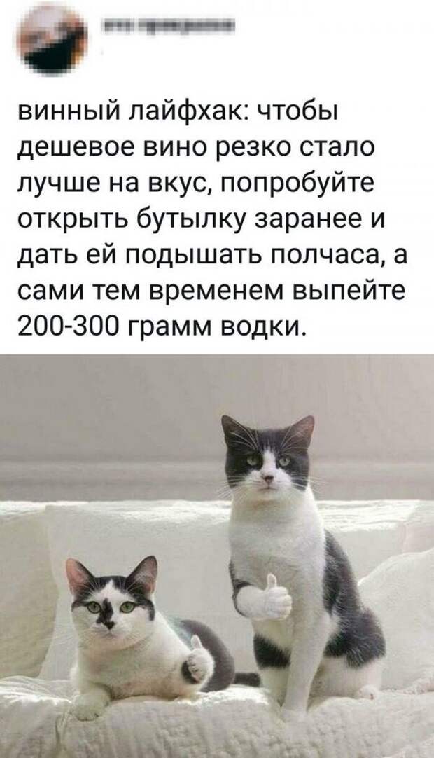 Скрины из социальных сетей