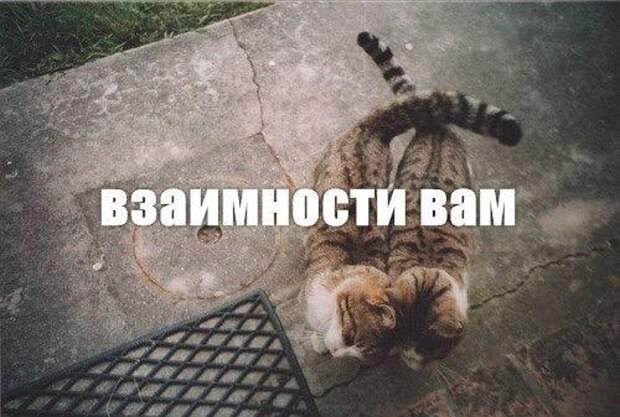 Любите животных! Любите животных!