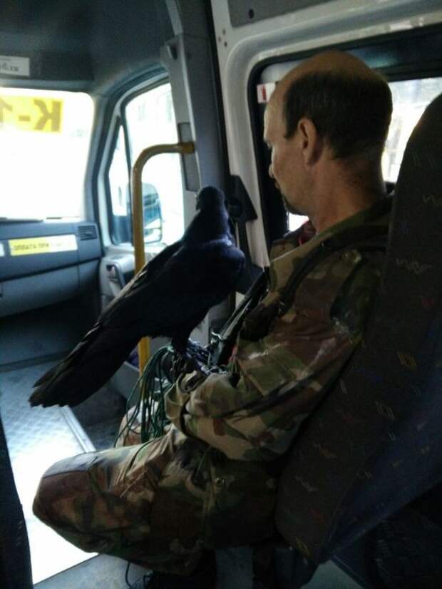 Маршрутка маршрутка, прикол, юмор