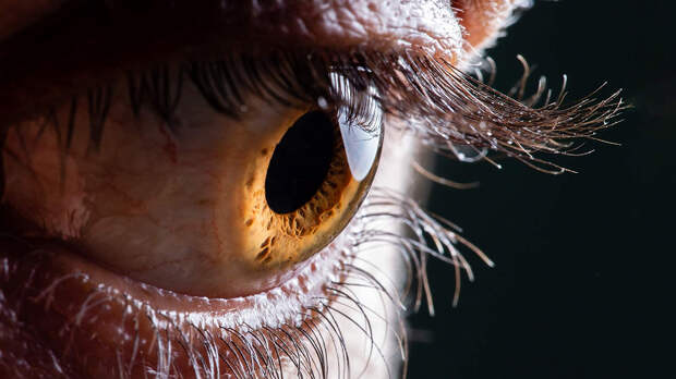 В России создали искусственную роговицу на основе коллагена. Создатели говорят, что готовых зарегистрированных и продающихся аналогов у нее нет