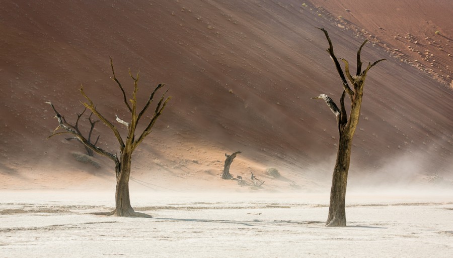 Африка. Намибия. Пустыня Намиб Соссусфлей Sossusvlei03 Африка. Намибия. Пустыня Намиб Соссусфлей