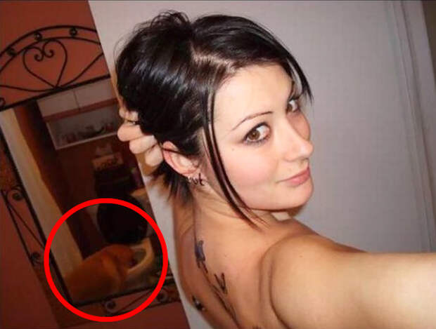 funny-when-you-see-it-pictures-39