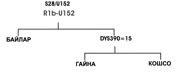 fd90d482b8a8ebf7ef744d4de7cbbde0-99.png
