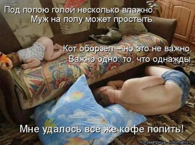 Свежая котоматрица (33 фото)