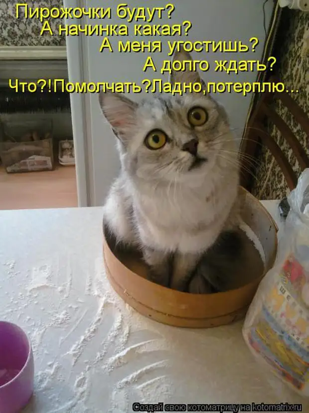 Угощать собой можно только того кто. Он угостил меня самсой и. Серега а куда делась та с аллергией картинки. Ты пришел без уважения. Я вредничаю.