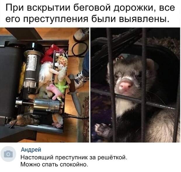 Подборка прикольных картинок