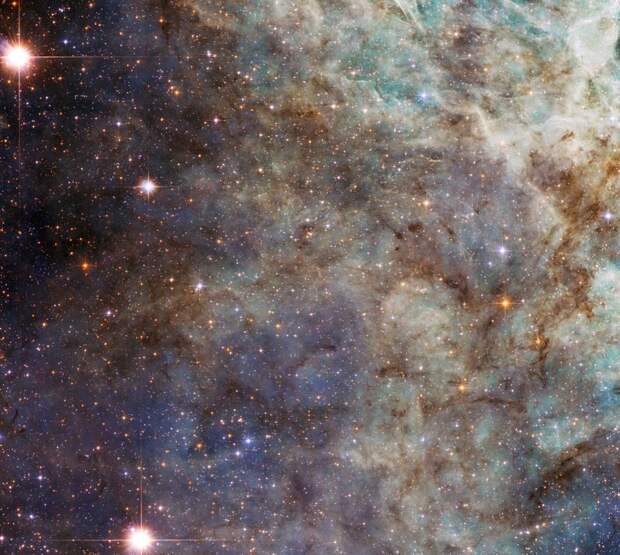 Окрестности туманности Тарантул интересное, космос, красота, наука, фото