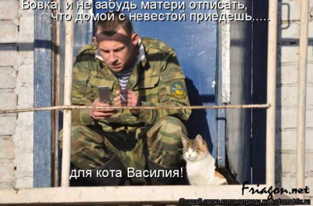 Котоматрица про Любовь