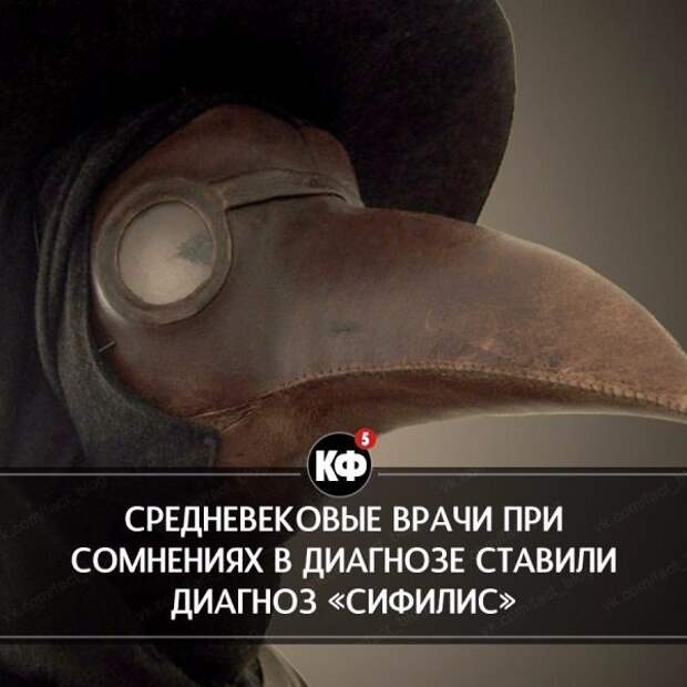 Краткие факты