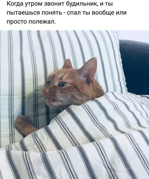 Новая партия искрометных приколов для надрыва животов Новая партия искрометных приколов для надрыва животов