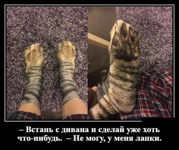 Демотиваторы (30 фото)