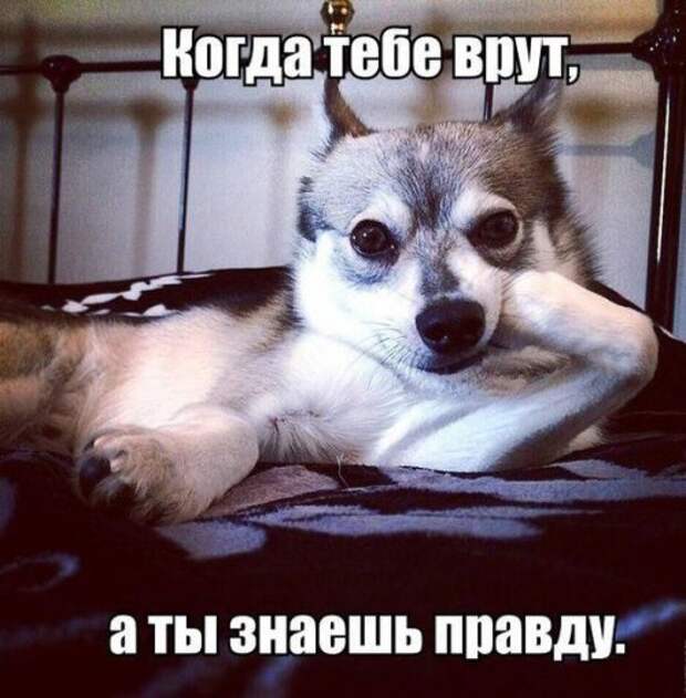 Смешные и прикольные фотомемы (23 шт)