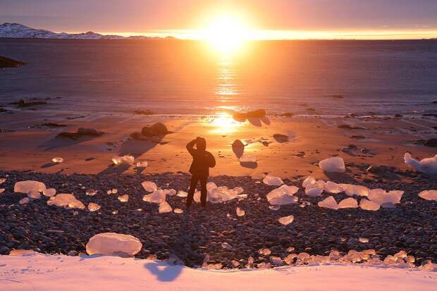 Пушков высказался по ситуации вокруг Гренландии