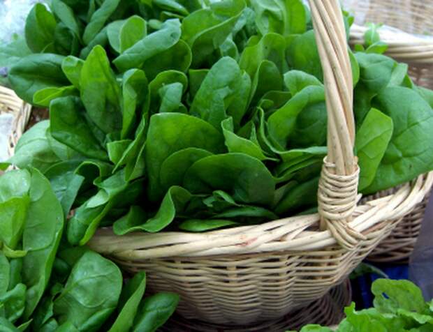 Энергия в тарелке – 10 продуктов против усталости foods03 990x761 Энергия в тарелке – 10 продуктов против усталости