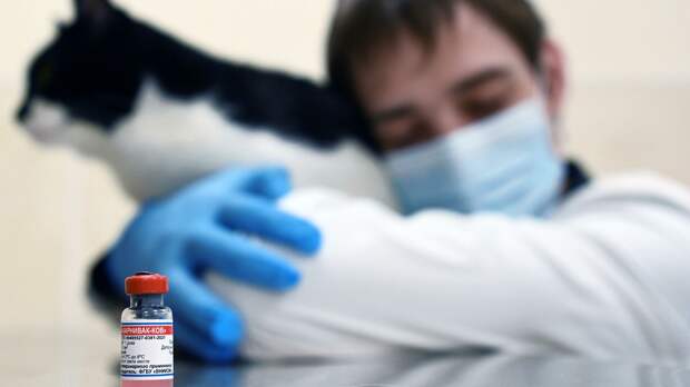 В Перу заинтересовались российской вакциной от COVID-19 для животных 