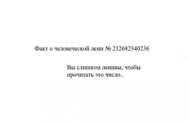 Члены Лиги лени и их очередной мастер-класс