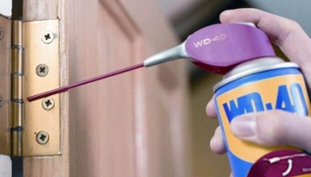 WD-40 впрыскивайте в щели петли при помощи специальной насадки. / sdelaidver.com