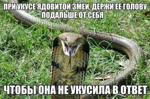 Свежие анекдоты посмеяться (15 шт)