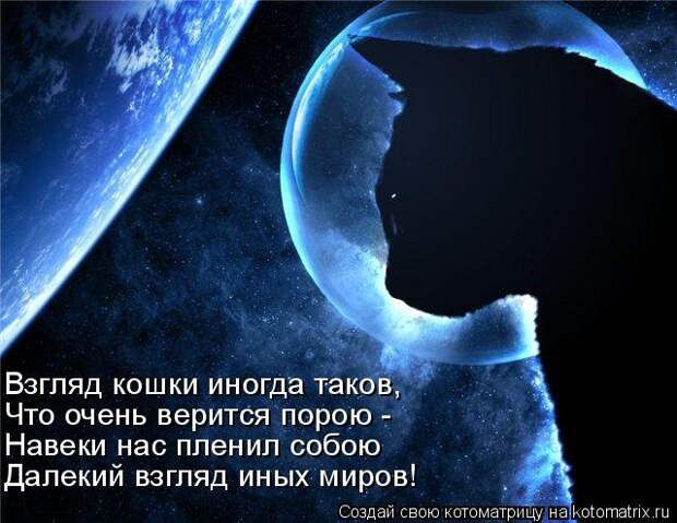 Взгляд кошки иногда таков, Что очень верится порою - Навеки нас пленил собою Далекий взгляд иных миров!