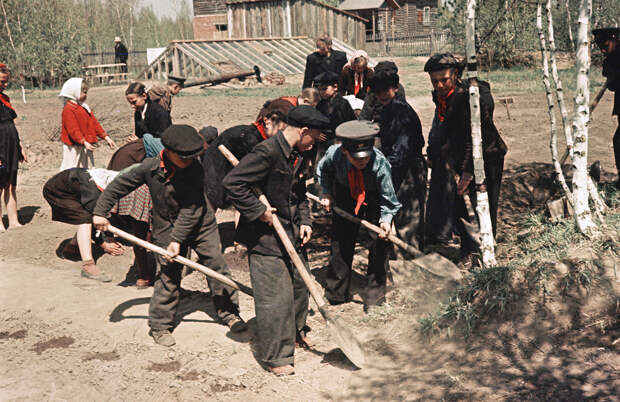 Нижне Чемская школа. Юннаты