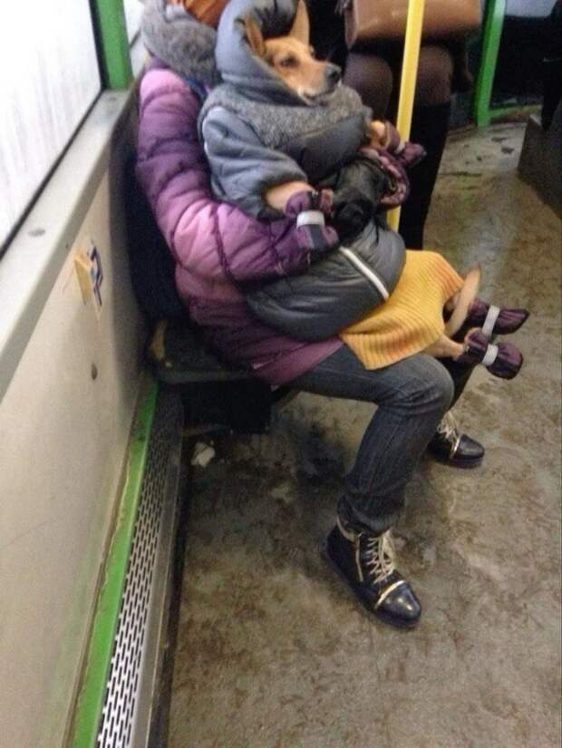 Холодно в Донецке