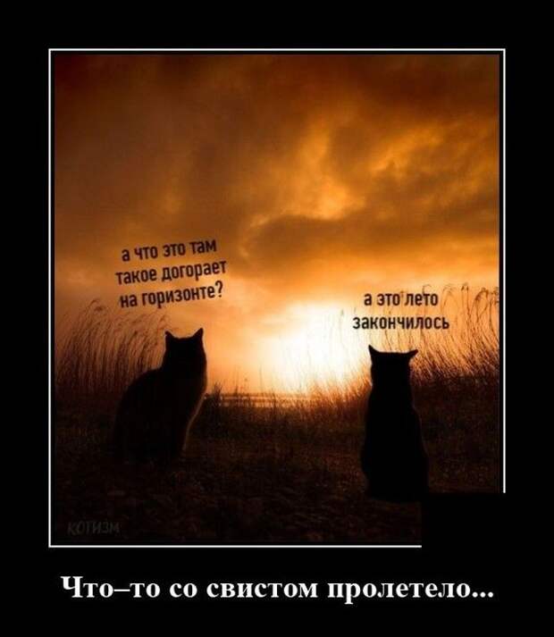 demotivatory-demotivator-smeshnye-demotivatory-demotivator-so-smyslom