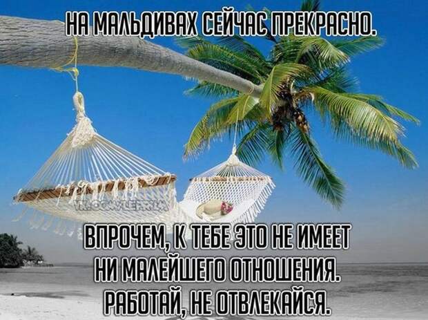 Картинки со смешными подписями картинки, юмор, прикол