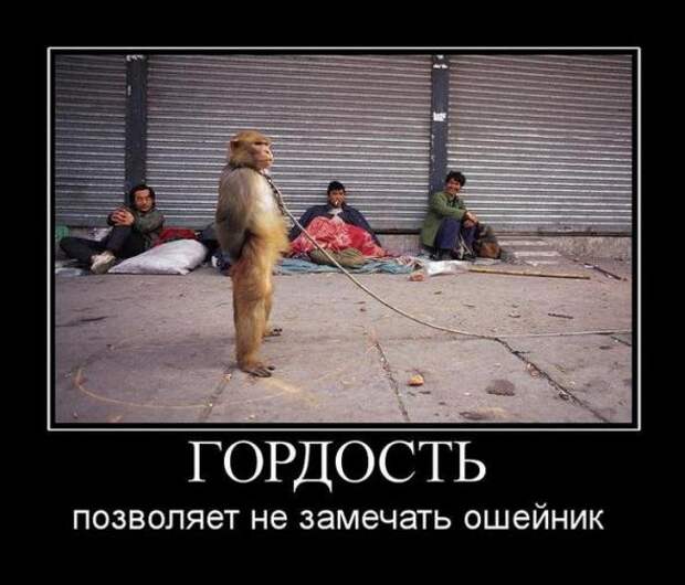 Подборка классных демотиваторов № 93