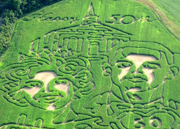 Каждый сходит с ума по-своему: но все в восторге Дертик своим поступком здорово утер нос всем тем, кто утверждает, что любовь не может длиться вечно. Если уж он спустя 50 лет совместной жизни способен на такие подарки, что это, если не любовь? Интересное в мире, истории, новости