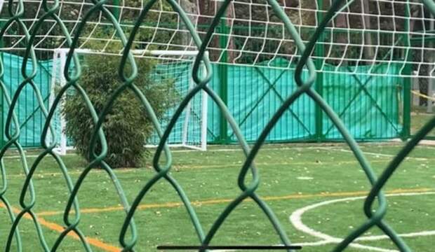 Осторожно, дерево на воротах