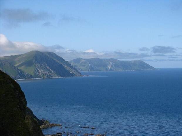 Фото: SuricataJ/wikimedia.org