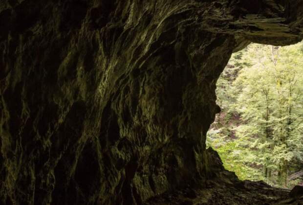 «Интимное окно»: найден старейший наскальный рисунок в мире