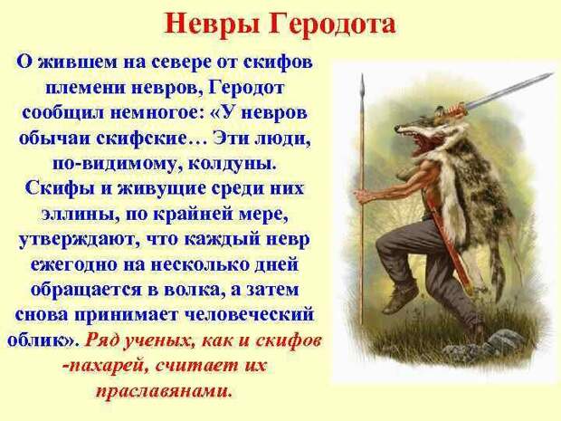 Голядь: осколок «янтарного народа» в сердце древней Руси
