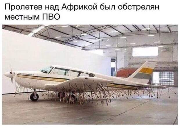 Картинки, юмор, приколы