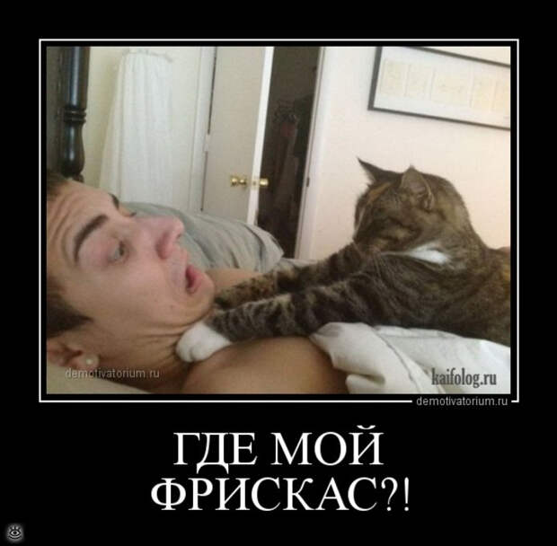 original (2) (695x682, 176Kb)