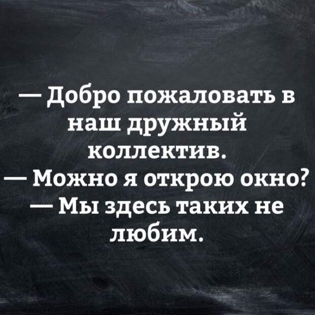 Дружный коллектив.