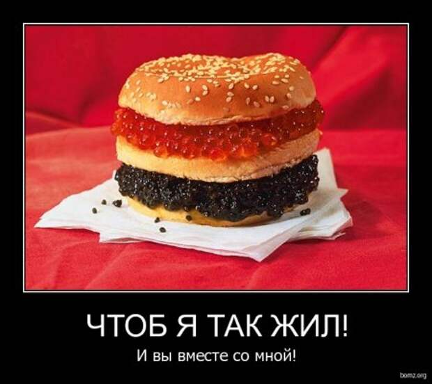 Прикольные демотиваторы для поднятия настроения!