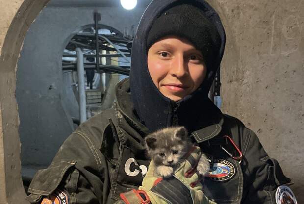 В Бабушкинском спасли застрявшего в подвале котёнка