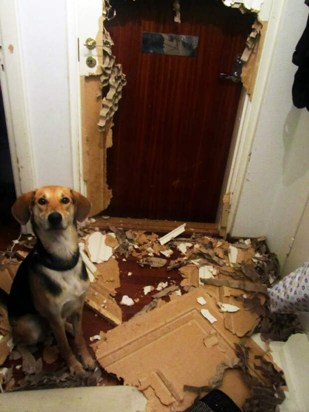 Препятствие уничтожено! | Фото: Buzzive.com. Препятствие уничтожено! | Фото: Buzzive.com.
