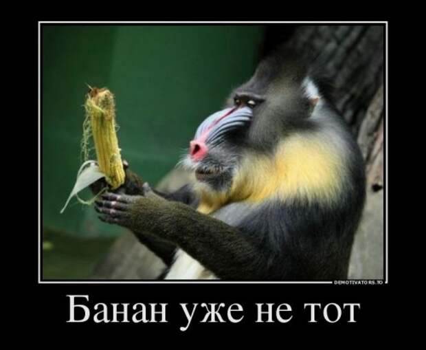 Прикольные демотиваторы (33 шт)