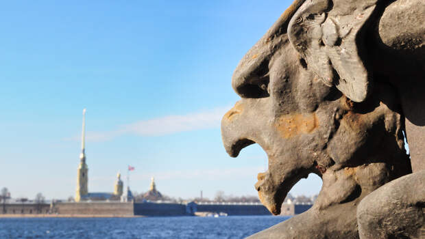 Бестиарий на фасаде: кто и зачем поселил гаргулий на стенах Петербурга